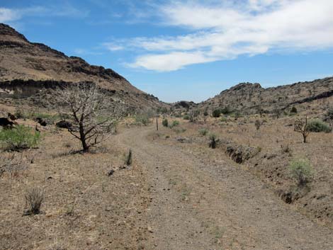 Mid Hills to Hole-in-the-Wall Trail