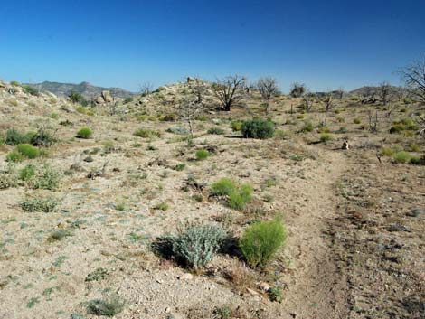 Mid Hills Loop Trail