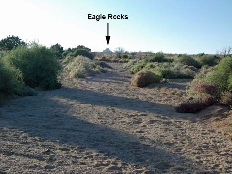 Mid Hills Loop Trail