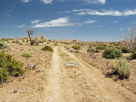 Mid Hills Loop Trail