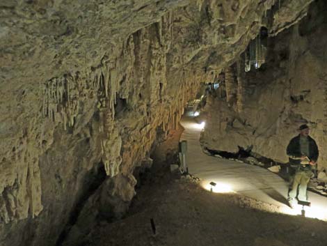 Mitchell Caverns Trail