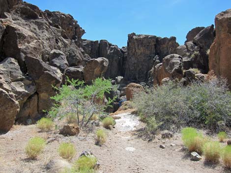 Banshee Canyon Overlook