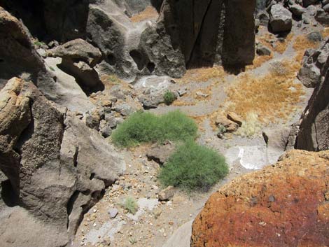 Banshee Canyon Overlook