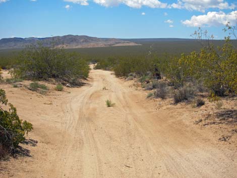 Mojave Road Monument