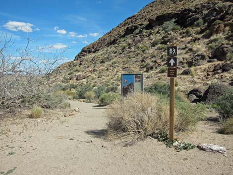 Rings Loop Trail