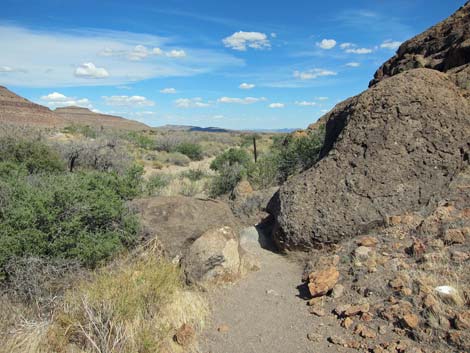 Rings Loop Trail