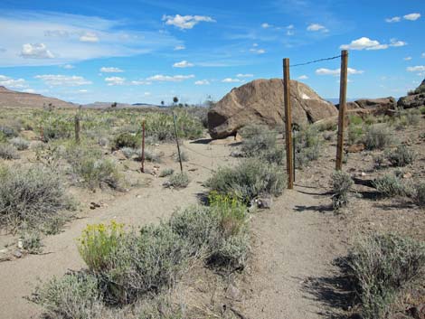 Rings Loop Trail