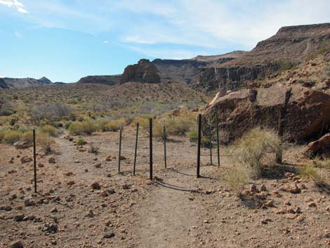 Rings Loop Trail