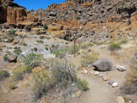 Rings Trail (Banshee Canyon)