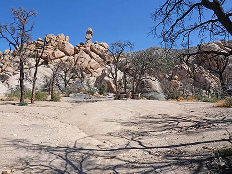 Caruthers Canyon Road