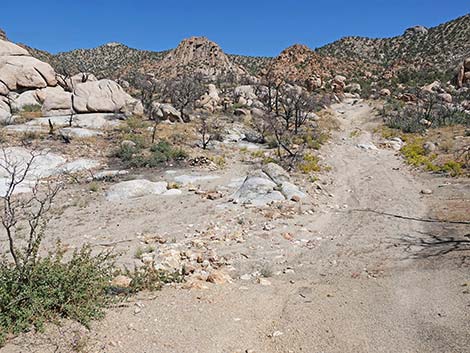 Caruthers Canyon Road