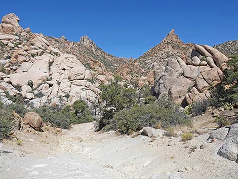 Caruthers Canyon Road