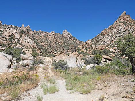 Caruthers Canyon Road