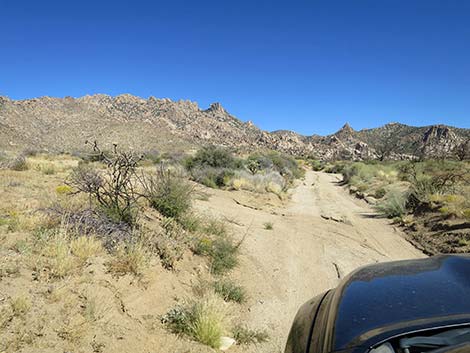 Caruthers Canyon Road