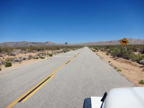 Cedar Canyon Road