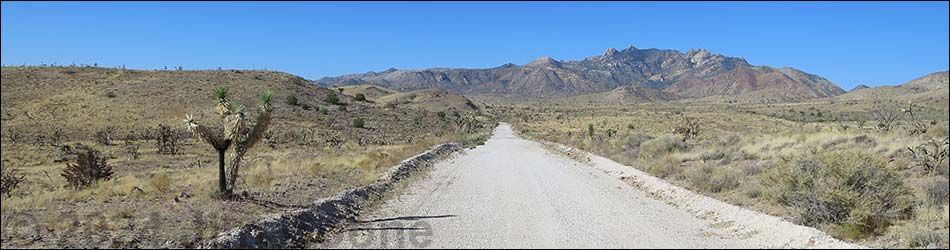 Ivanpah Road