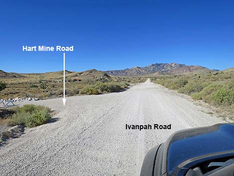 Ivanpah Road