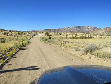 Ivanpah Road