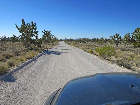 Ivanpah Road