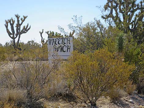 Ivanpah Road