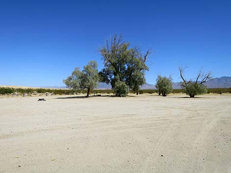 Kelso Dunes Road