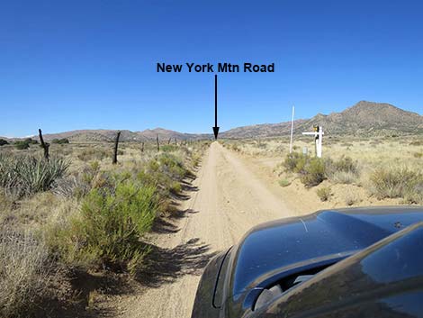 New York Mountain Road