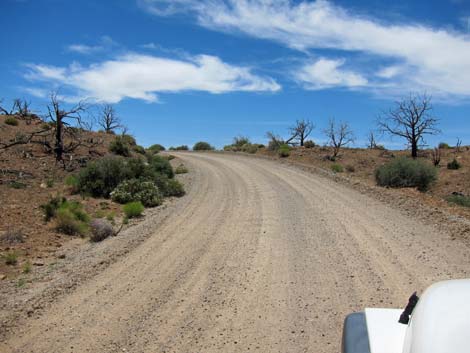 Wild Horse Road