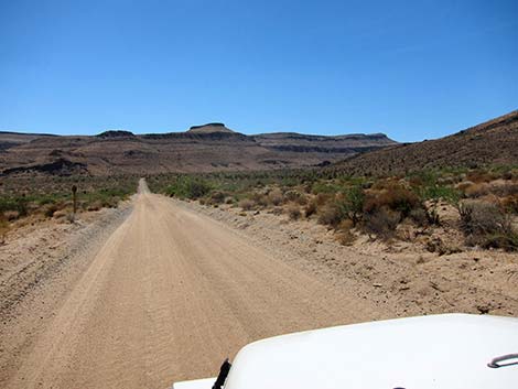 Wild Horse Road