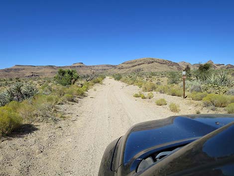 Wild Horse Road