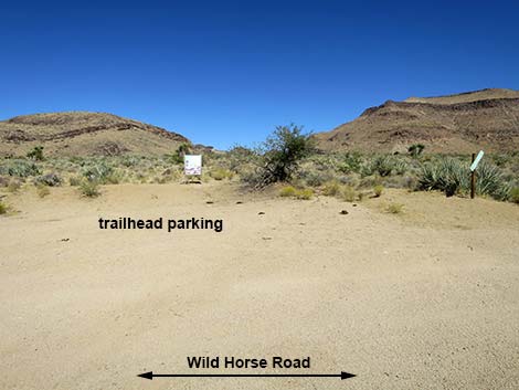 Wild Horse Road