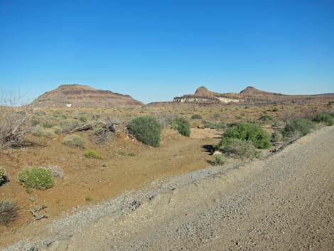 Wild Horse Road