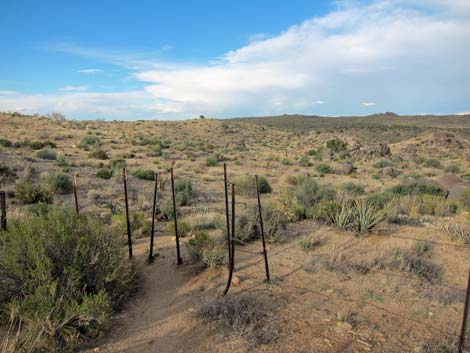 Rock Spring Loop Trail