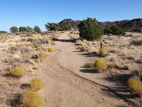 Rock Spring Loop Trail