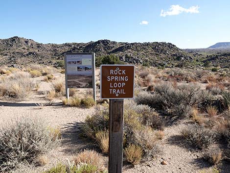 Rock Spring Loop Trail