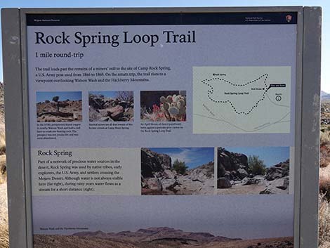 Rock Spring Loop Trail