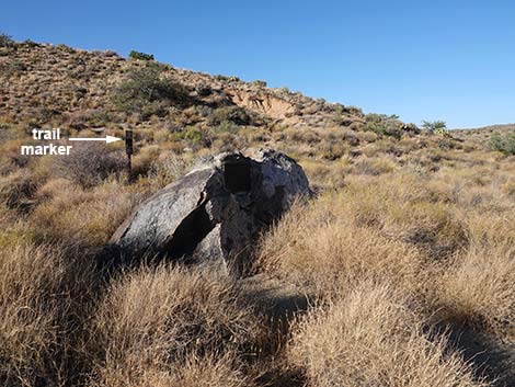 Rock Spring Loop Trail