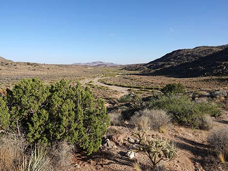 Rock Spring Loop Trail