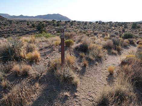 Rock Spring Loop Trail