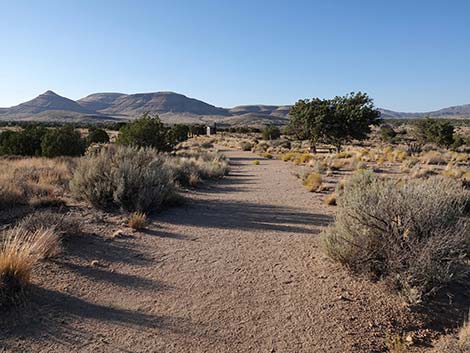 Rock Spring Loop Trail