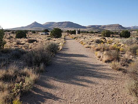 Rock Spring Loop Trail