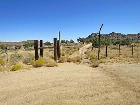 Rock Spring Loop Trail