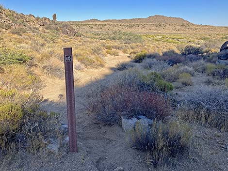 Rock Spring Loop Trail