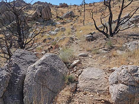 Teutonia Peak Trail