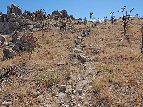 Teutonia Peak Trail