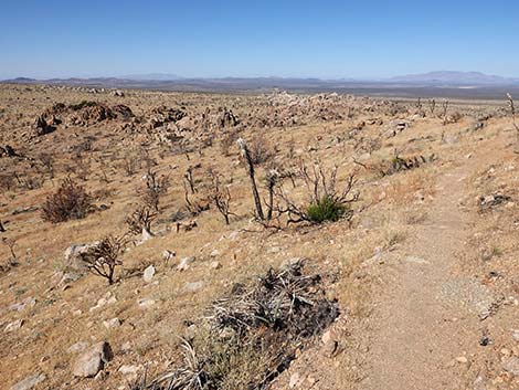 Teutonia Peak