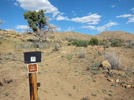 Mid Hills Loop Trail