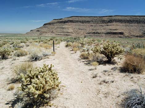 Wild Horse Spur Trail