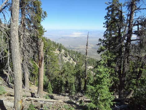 Bonanza Peak Trail