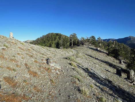 Bonanza Trail