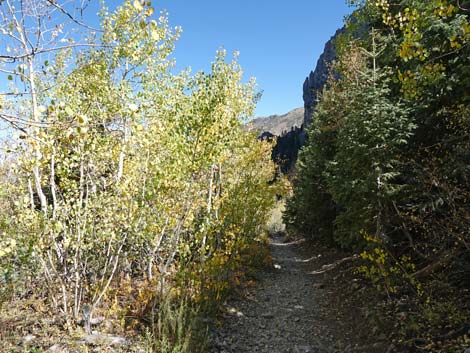 Cathedral Rock Trail